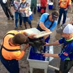 180310050330-IMG_2206